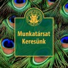 Munkatrsat keresnk