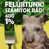 Segtsd te is add egy szzalkval dl-amerikai trsaskifutnk megjtst!