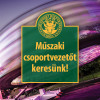 Műszaki csoportvezetőt keresünk!