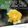 Karneváli kaktuszkiállítás az Afrika-röpdében!
