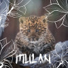 Mulan lett a harcias észak-kínai leopárdkölyök neve!