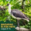 Egy egsz hten t nnepeljk a madarakat s fkat!