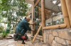 Bambuszdekoráció a Pálmaházban!