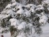 2010 december
