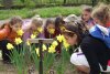 N�rciszok a „M�lt�s�g Mezej�n” a Nagyerdei Kult�rparkban