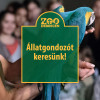 llatgondozt keresnk!