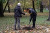 Kis erdő a Nagyerdő szívében!