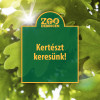 Kertszt keresnk!