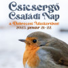 Csicserg Csaldi Nappal nyitjuk az vet!
