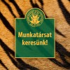 Munkatrsat keresnk