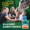 Kicsengets utn ismt vr a zootbor, radsul mr nmet nyelven is!