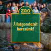 llatgondozt keresnk!