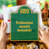 rtkestsi vezett keresnk!